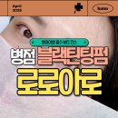로로아로 이미지
