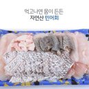 이음수산 이미지