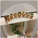 리온메디 이미지