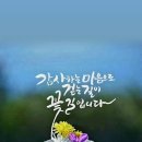 토비아 이미지