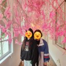 행복한의료기 | 보건의료정보관리사울산시회,타로,조개구이,절친결혼식,스텔라떡볶이,오차즈케,400일,의료기사회 썰푼다