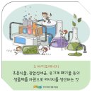 버드에너지 이미지