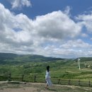 [6月-1] 헤이 릴스와 함께한 2박 3일 고성 가족 여행 일기