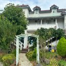 골드 휴 이미지