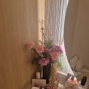 용산-407 | 위뷰티 내돈내산 후기! 위뷰티 용산점 내 최애 지점♥