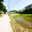 원주토지공인중개사사무소 이미지