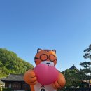 꼬마스토커 | 5월 상반기 일상 모음zip.