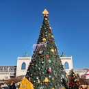 치즈밸리참나무집 | 임실순두부맛집 치즈밸리참나무집!! 임실산타축제 25.12.25