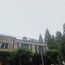 [경남 고성] 비 오는 날 더 운치 있는 수국 명소, 고성 그레이스 정원