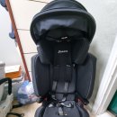 워싱고릴라 | 카시트 세탁 업체 : 워싱고릴라 안양점에서 다이치/시크 세탁하기