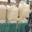 정읍시청앞 이미지