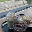 일상일기 (셀프눈썹탈색, 하회마을찜닭, 한끼갈비, 라쿵푸마라탕)