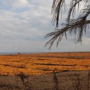 좋은빛목장 이미지