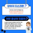 부평24시 SKY 동물의료센터 이미지