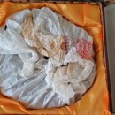 커브스 주중클럽 이미지