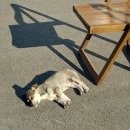 대양여관 이미지