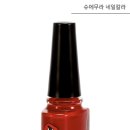 네일의 컬러 이미지