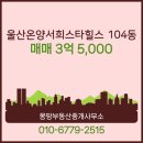 몽땅부동산중개사무소 이미지