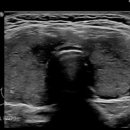 윤사랑외과의원 이미지