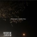 짱조개구이회센터