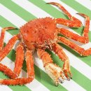 (주)동해유통 티스토리