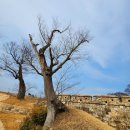 무장읍성 관광안내소 이미지