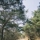 태욱건축 | 운길산 수종사