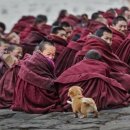 호연지기 이미지