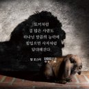 큐티