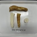 천마로 이미지