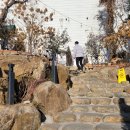 이쁜 똥강아지 | 통영 바다뷰 카페 아르세ARCE 내돈내산 후기