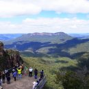 블루마운틴 이미지