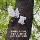 엘리트님 가슴벅찬 오늘 함께해요 ㆍ 이미지