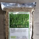 한농종묘사 이미지