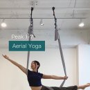 웰니스라이프(wellnesslife)