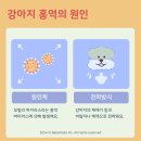 진리 동물병원 이미지