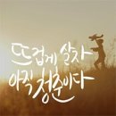 :♧안산 단원구청 /나무수국♧ 이미지