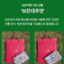 엄마와 함께하는 속리산 1박2일 패키지 다녀온 후기(ft. 대추골주민여행사)