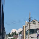 옥스피시방 | 8월 1주 일상 포토덤프 7주차
