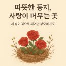 사랑이 머무는 둥지 이미지