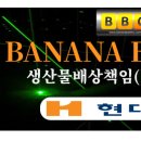 바나나배터리 이미지