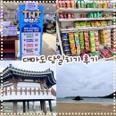 가야하나로약국 | 카톡 하나로 여행 끝! 티엔티 부산과 함께하는 대마도 여행 - 노바호 탑승 및 버스 투어 후기🚢🚍