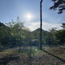 산새소리 | 강원도 캠핑_양양 오색산새소리캠핑장