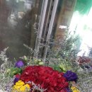 백송이꽃화원 이미지