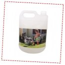 체리쉬퍼피 이미지