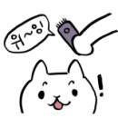 형제미용실 - 강릉시 율곡로 2760 | 형제미용실