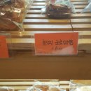 트로이과자점 | 트로이 과자점 쁘띠 크로와상 후기