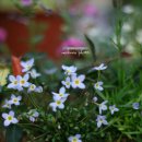 병철목장 이미지