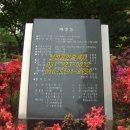 블르밍