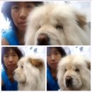 조암호텔 이미지